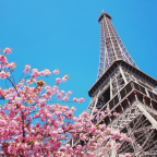 Taylored Tours’ Tips For Visiting The Eiffel Tower